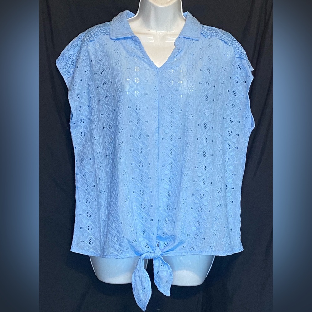 Elegant Sky Blue Lace Blouse